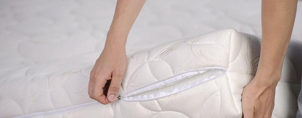Lutter contre les punaises de lit