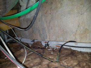Souris dans les plafons et murs d'une maison à Ayherre près d'Hasparren : Traitements et solutions anti nuisibles